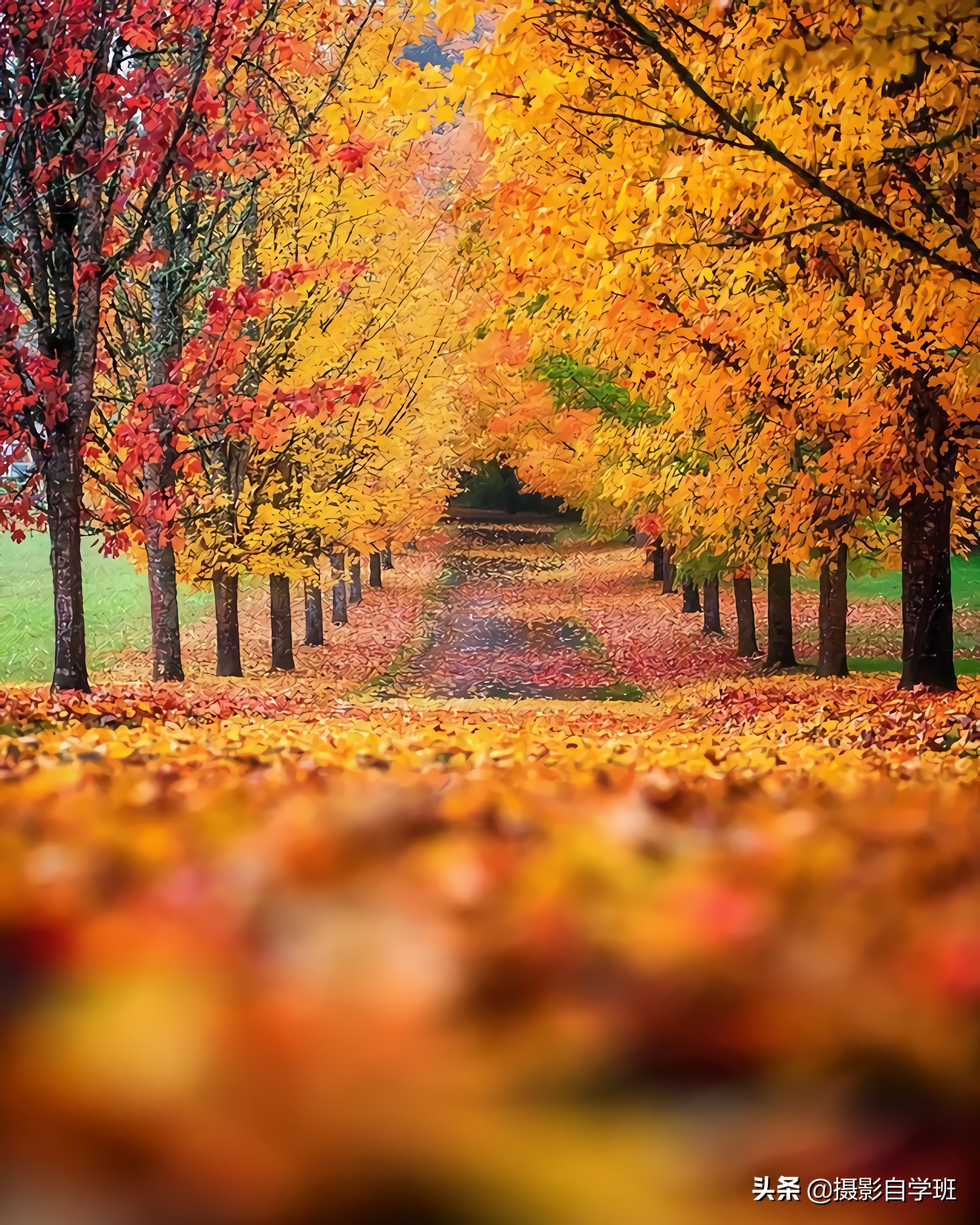 普通人学摄影的真实感受,普通人学摄影一个月