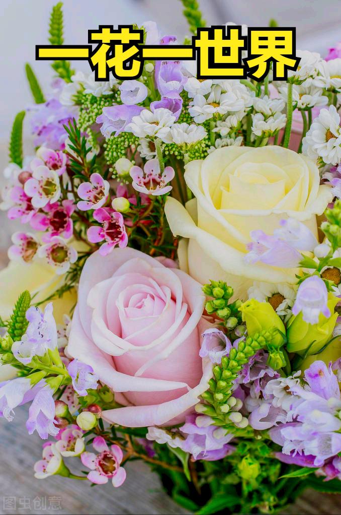 一花一叶最深情，万千*光春**花满园，花开惊艳时光，花香温柔岁月