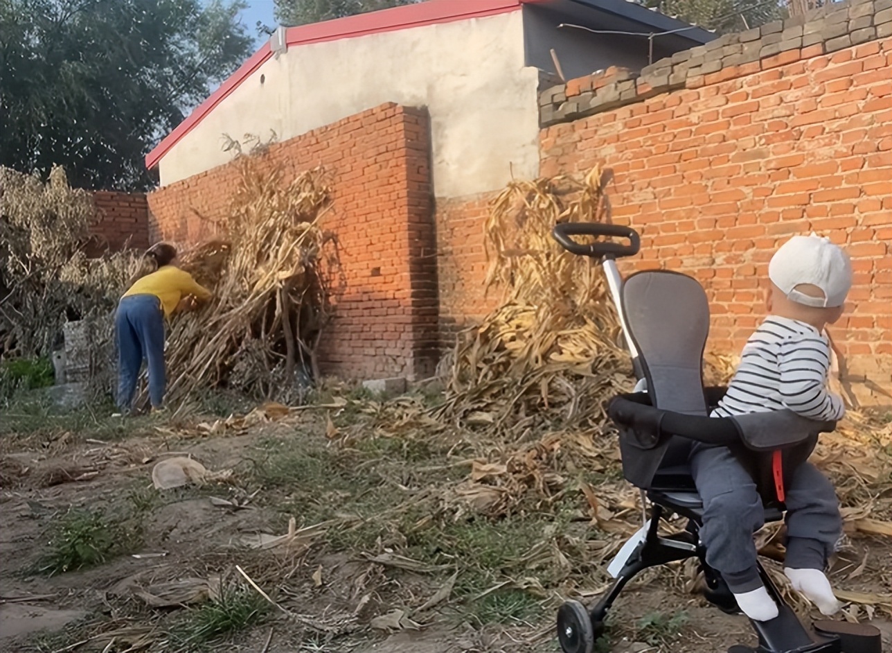 河北越南媳妇小清,越南小青远嫁河北