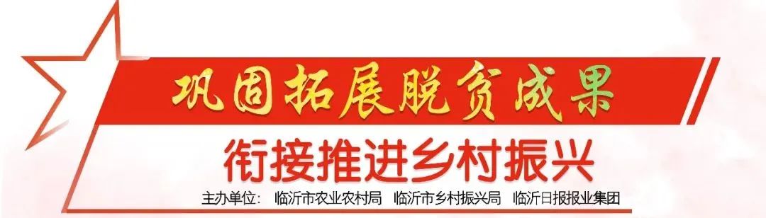 长寿区乡村振兴项目,十八洞村脱贫攻坚与乡村振兴