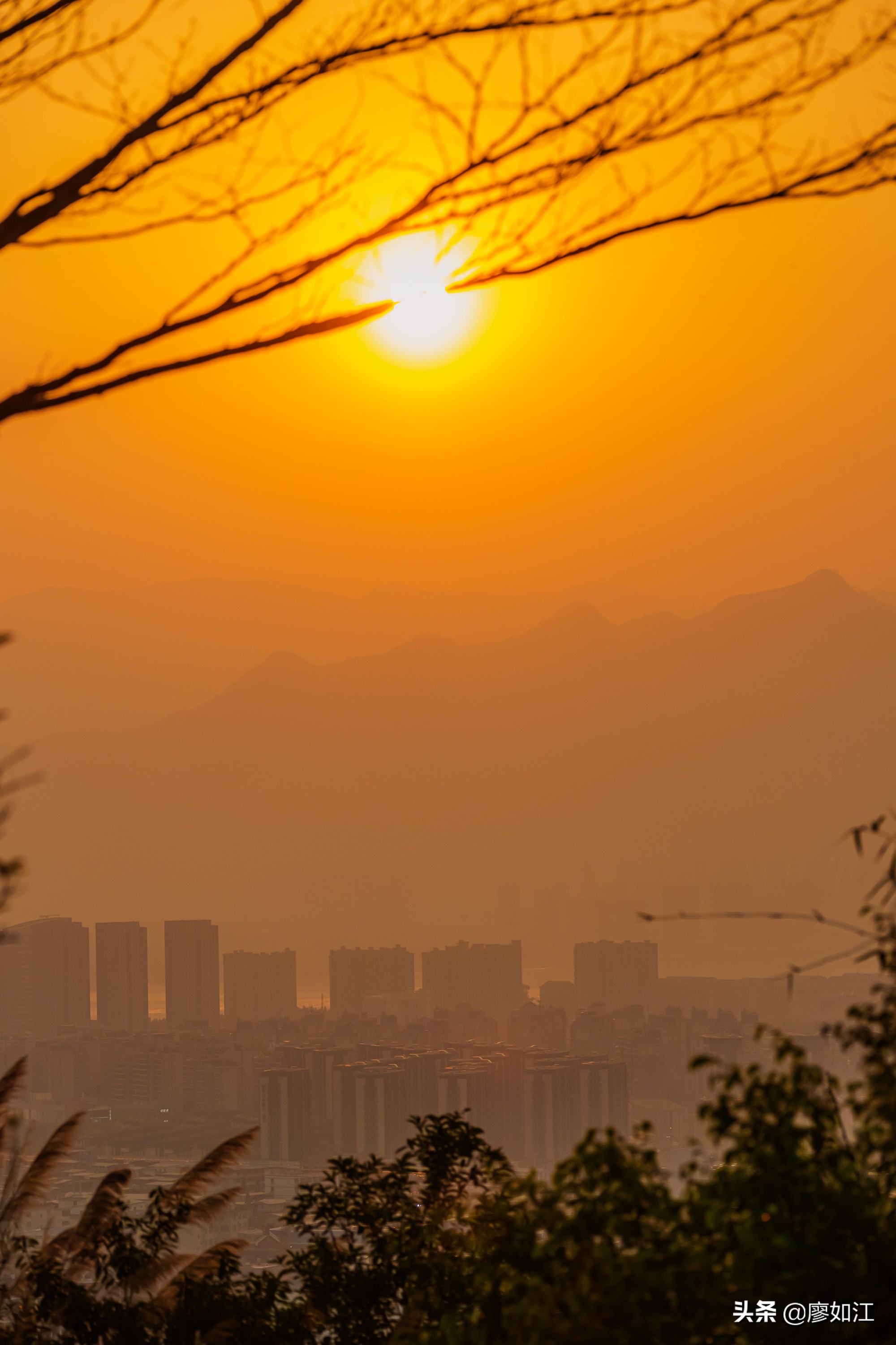 高盖山公园美篇,高盖山公园全景