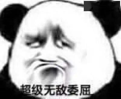 花了1000块钱拍艺术照,花了900元拍的照片