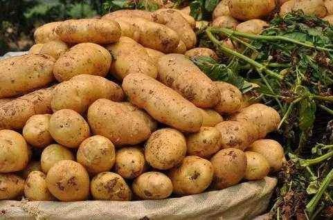 甘肃省各市颜值排名,甘肃省各市照片