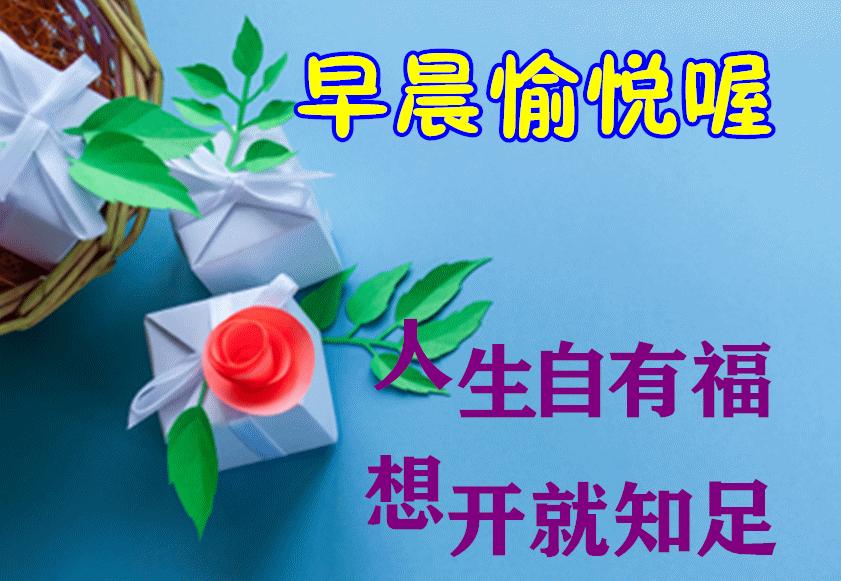 问候语祝福朋友的句子暖心,问候祝福朋友开心快乐的温馨句子