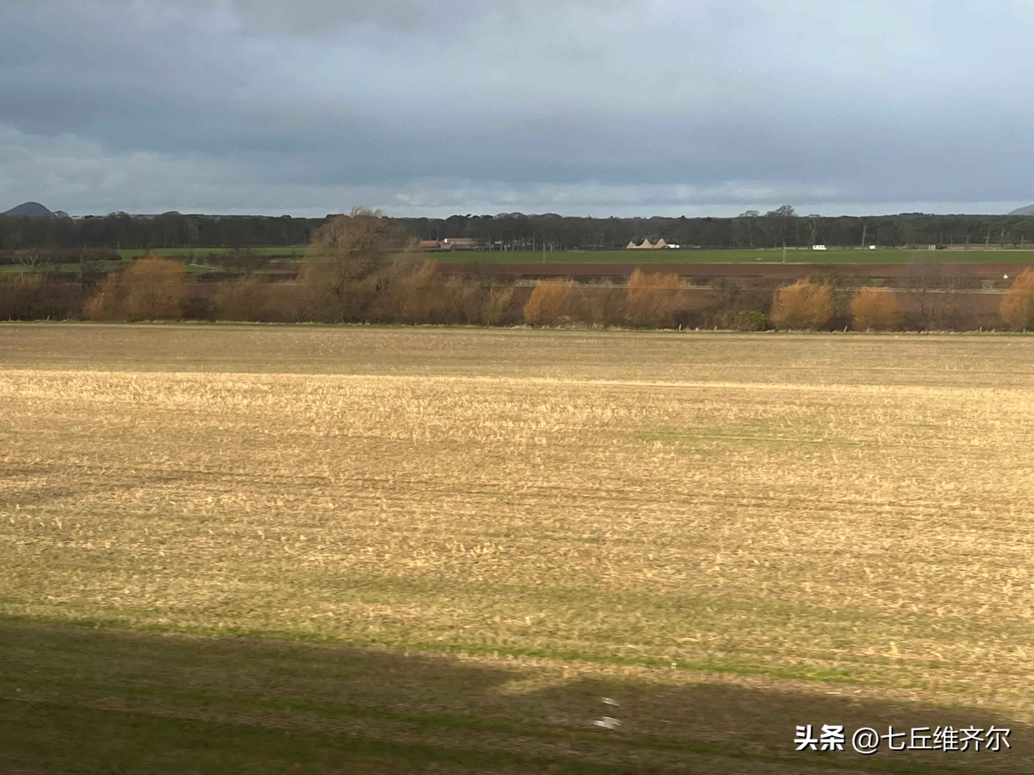 牛羊满圈的上联下联,水肥草美牛羊壮上联