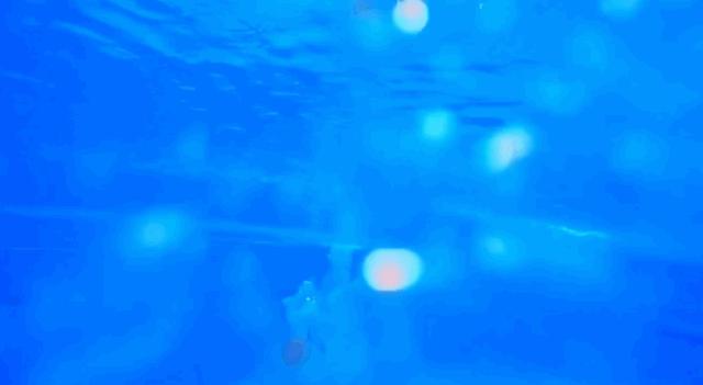 全红婵夺冠反映的人性真相,全红婵夺冠父亲高兴的全过程