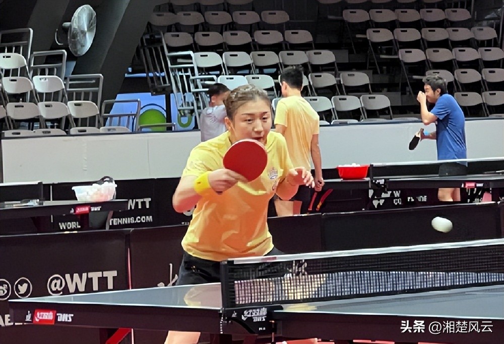 德班世乒赛乱象!场地还在施工,随时会停电,女队员不敢单独外出