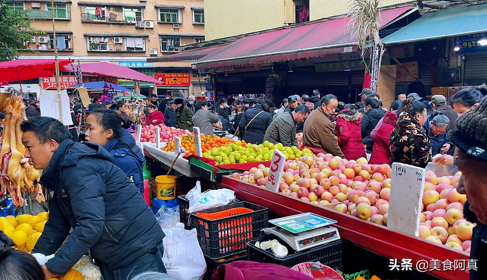 重庆狗儿市场有什么吃的,重庆主城狗市在哪里