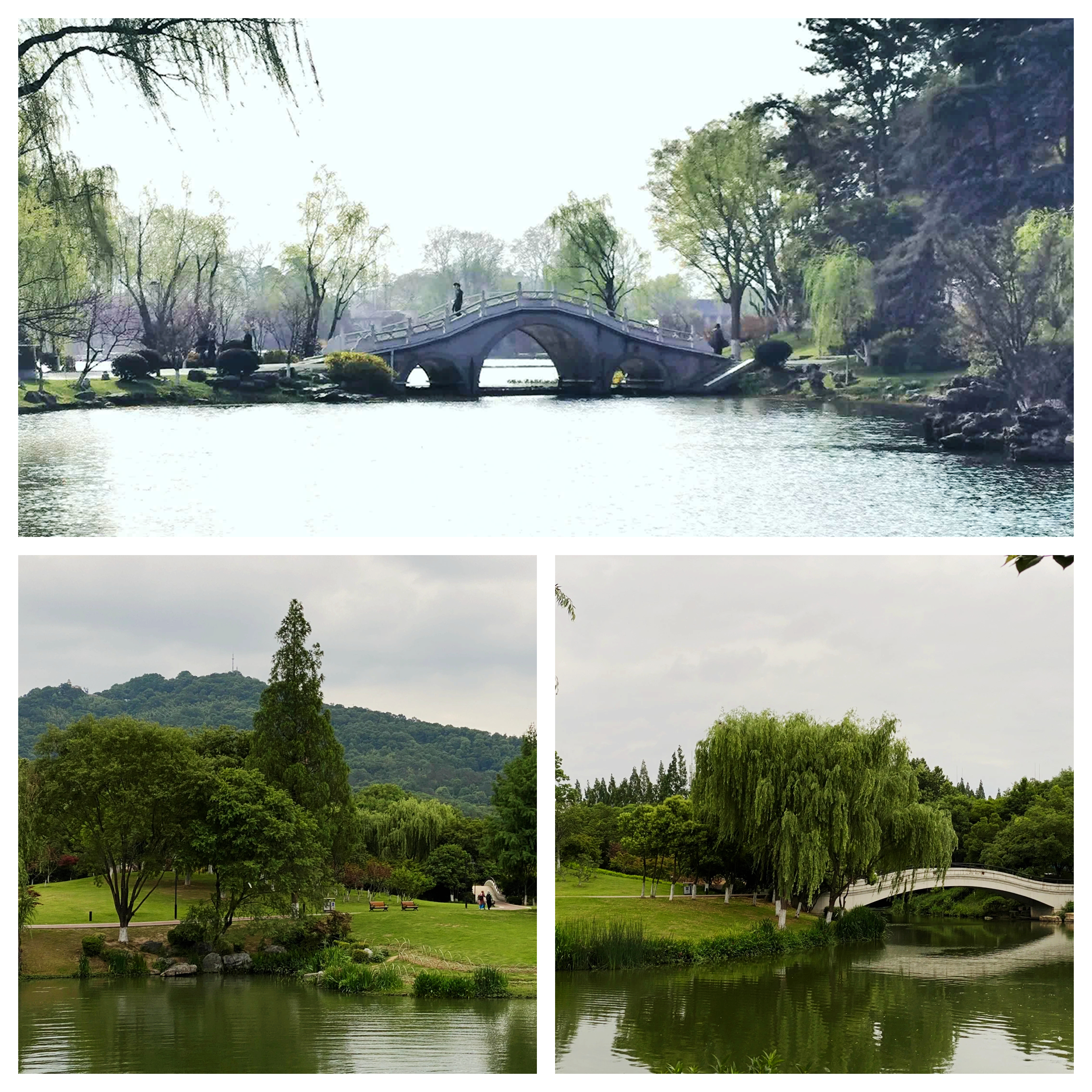 金陵明珠玄武湖,金陵明珠