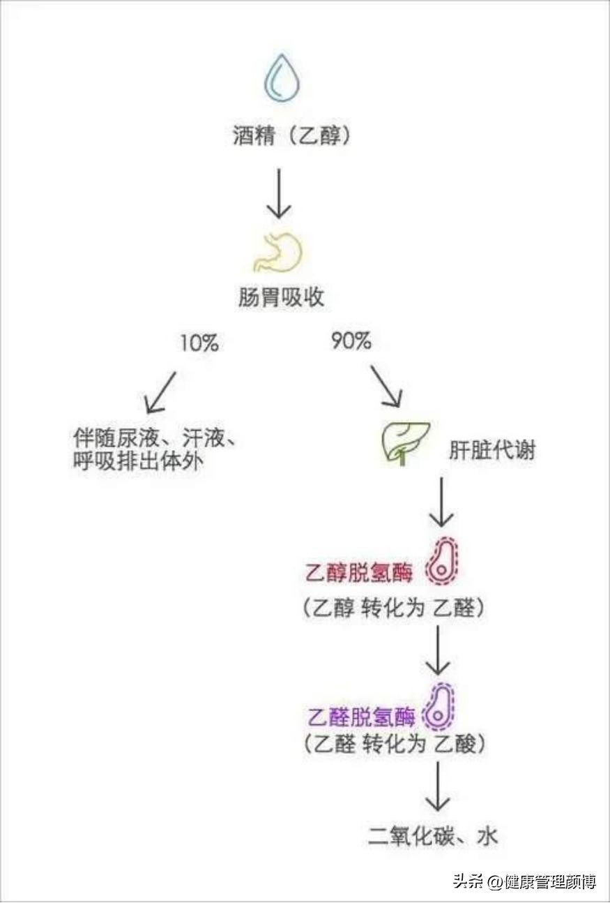 空腹醉酒怎么缓解,醉酒的症状及护理