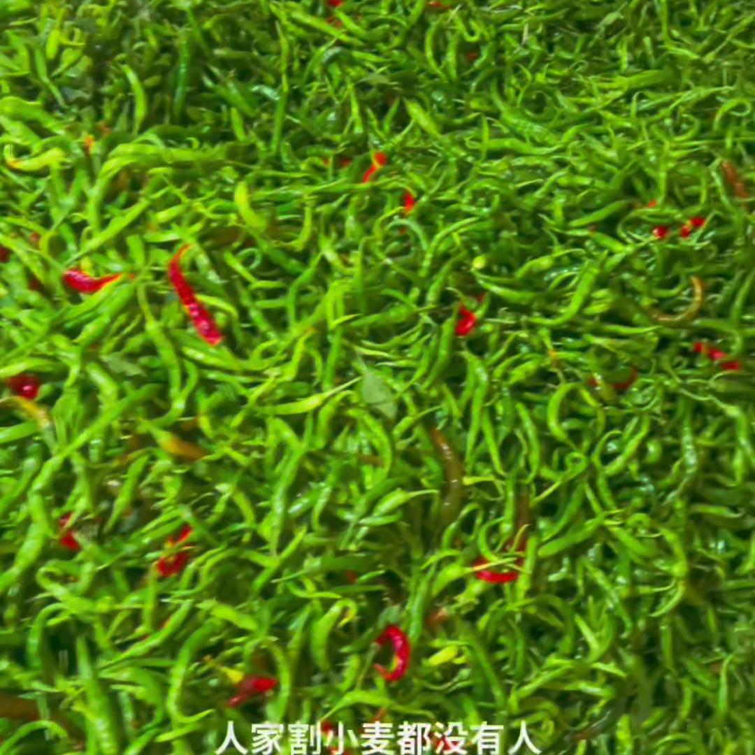 邳州巧连姐食品,邳州巧姐食品加工厂