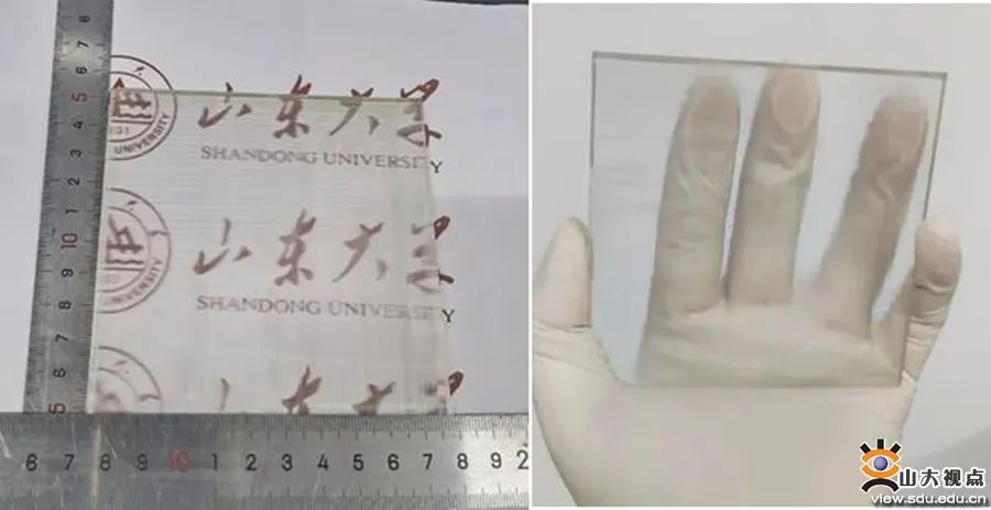 您的SDU学术一览，请及时签收！