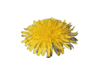 吃什么才能拉屎干净又通畅,快速拉屎的小技巧