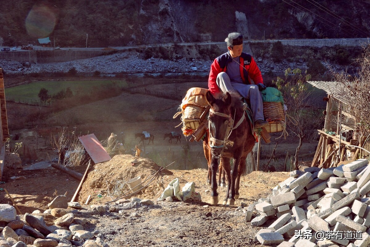 谈谈消逝的茶马古道和茶文化,茶马古道北茶之源在哪里
