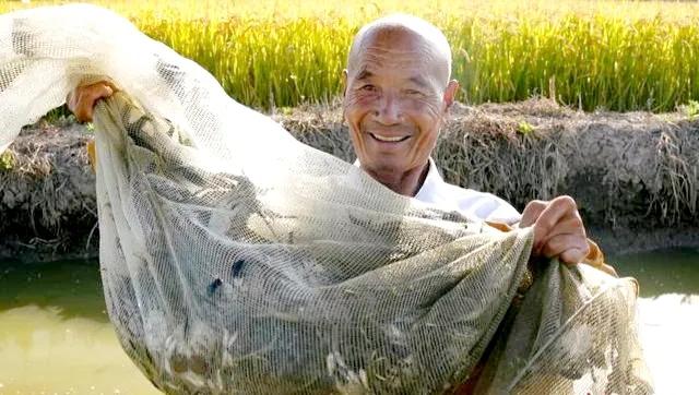 热烈庆祝第四届农民丰收节,丰收节农民丰收感言