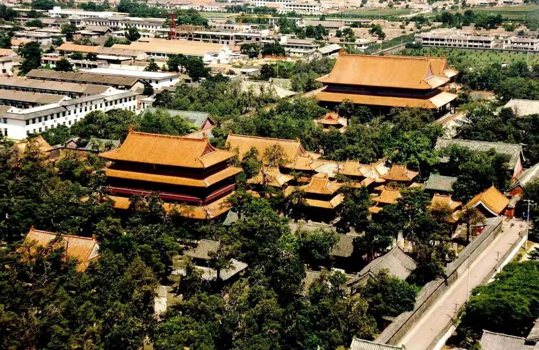 曲阜三孔纪行（作者：刘长玉）