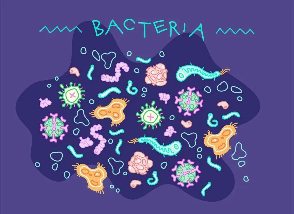卡戴珊家族软糖,卡戴珊吃的软糖