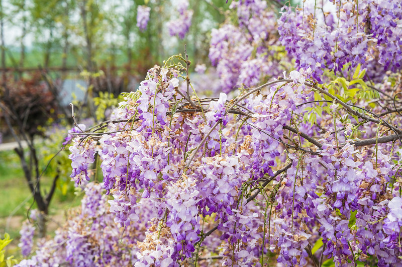 宿州两日游,宿州旅游攻略三日游