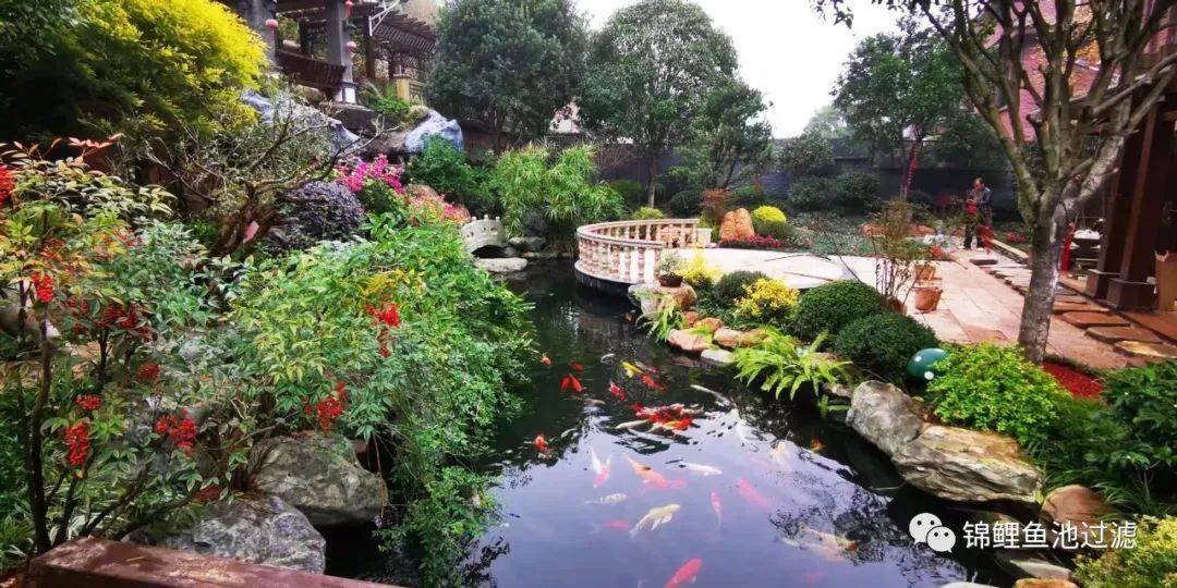 锦鲤鱼池下过滤池底粪便如何清除,锦鲤鱼池过滤仓用什么做盖子好