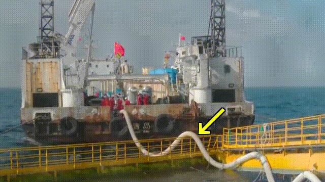 国内的假三文鱼是什么鱼,哪种才是真正的三文鱼