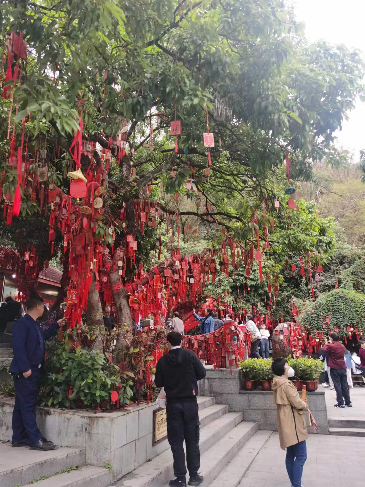 深圳只有一个凤凰山吗,深圳凤凰山人多还是羊台山人多