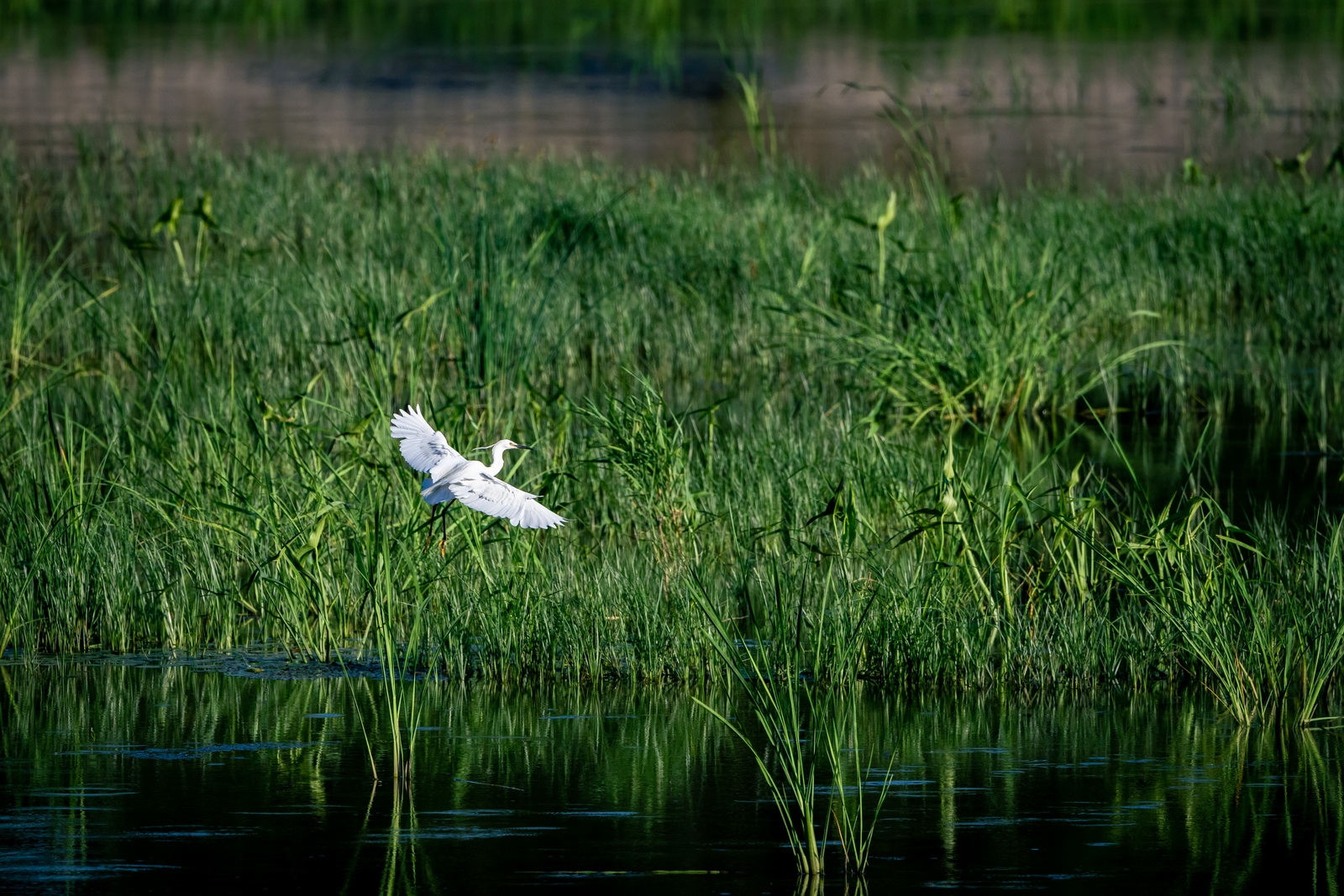 佳能eosr7目前值得买吗,佳能eosr7优缺点