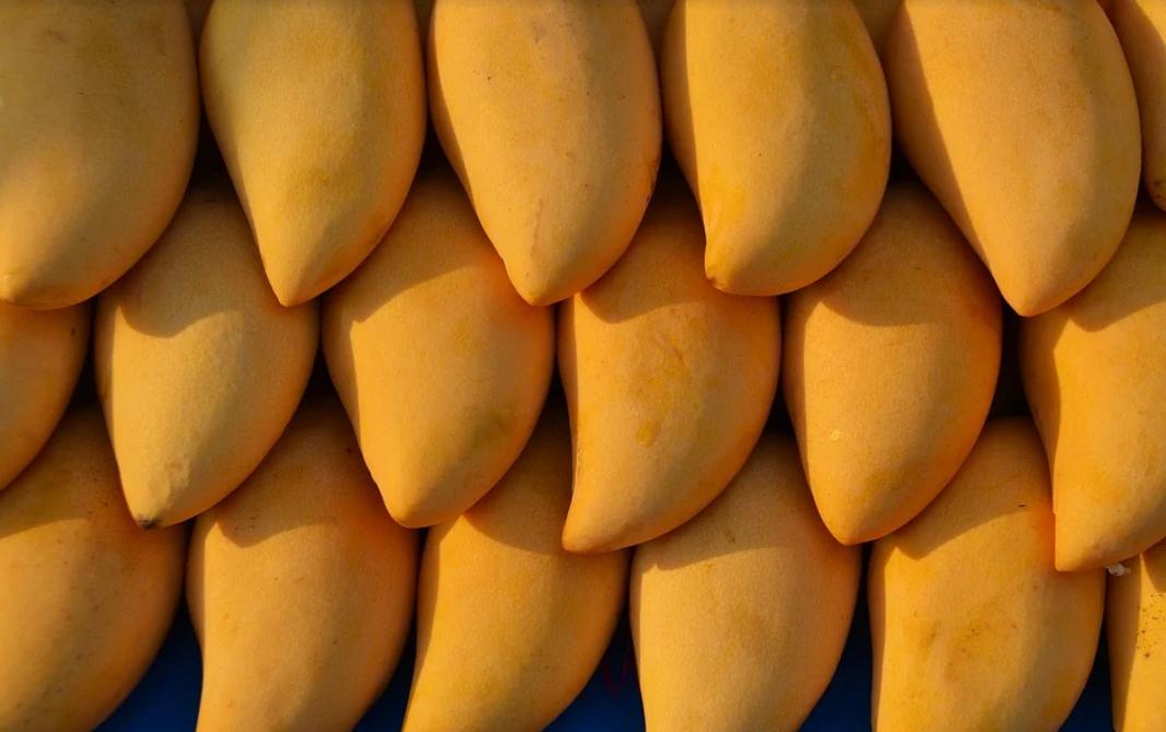 女明星怀孕期间抽烟吗,孕妇刚怀孕一个月抽烟有什么影响