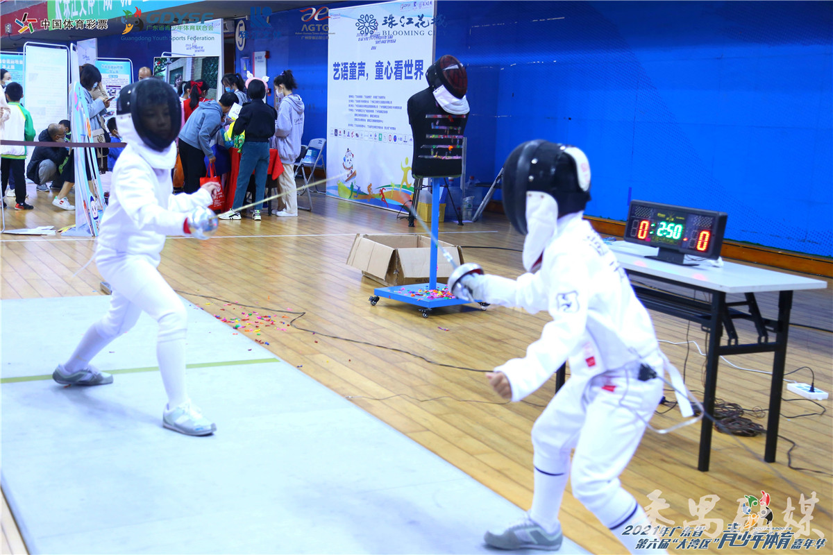 广东大湾区体育嘉年华,粤港澳大湾区体育嘉年华