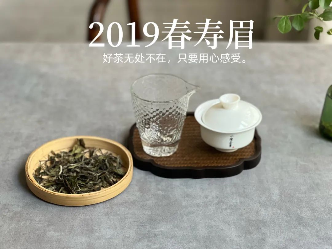 夏季喝什么茶绿茶红茶好,什么茶叶公认最适合秋天喝