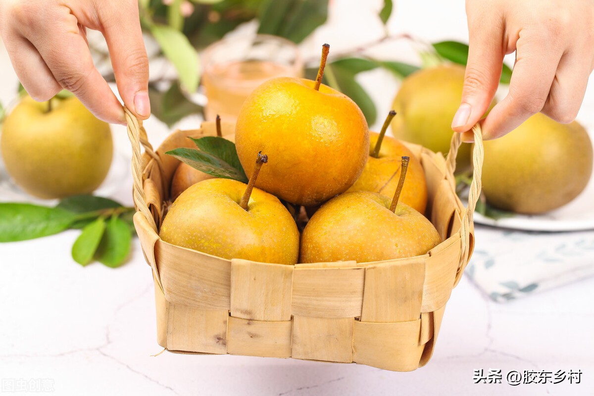秋月梨滞销求助,苹果梨为什么市场上没有了