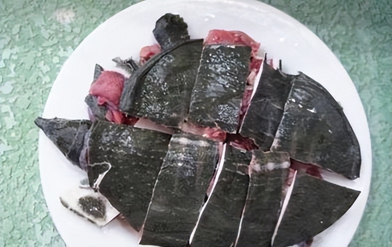 甲鱼和乌龟为什么甲鱼能吃,为什么可以吃甲鱼但是不能吃乌龟