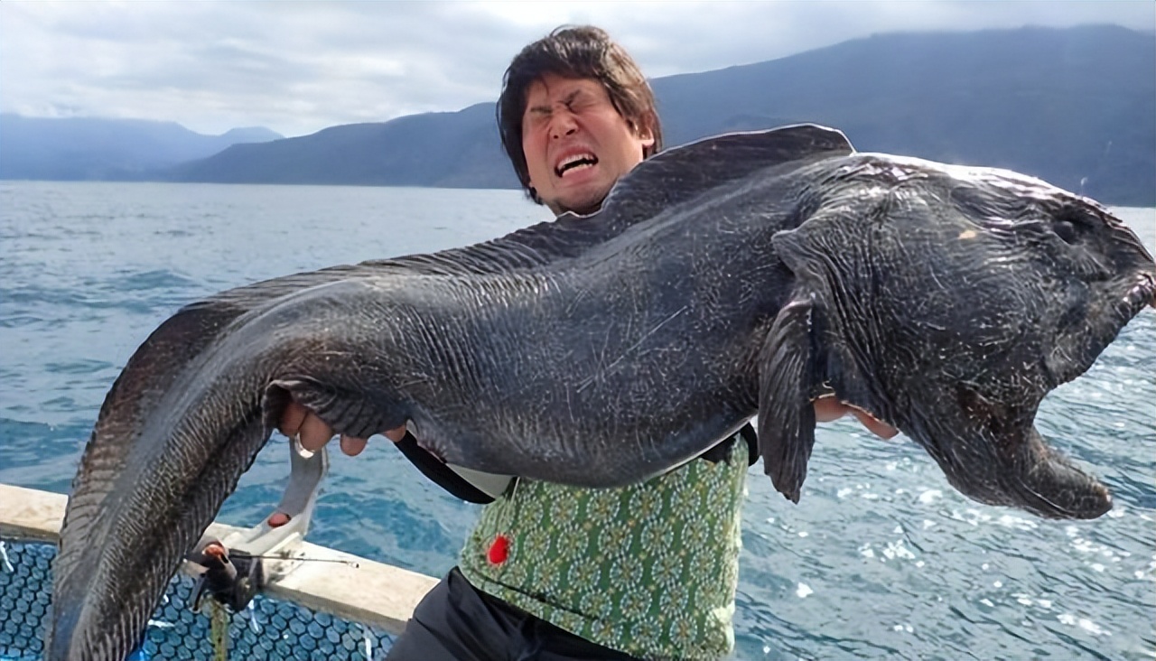 日本福岛核辐射泄漏唯一幸存人,日本福岛核辐射泄漏事件