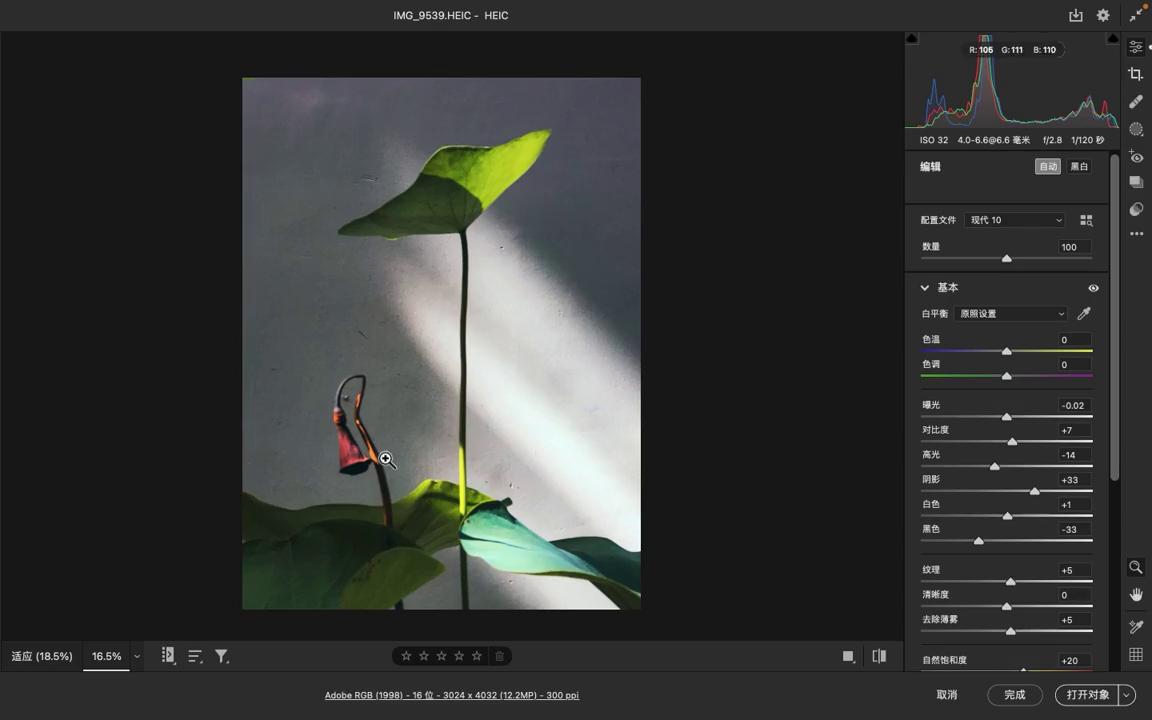 【大雷视界】PS知识点课件｜ACR蒙版制作荷花摄影作品...