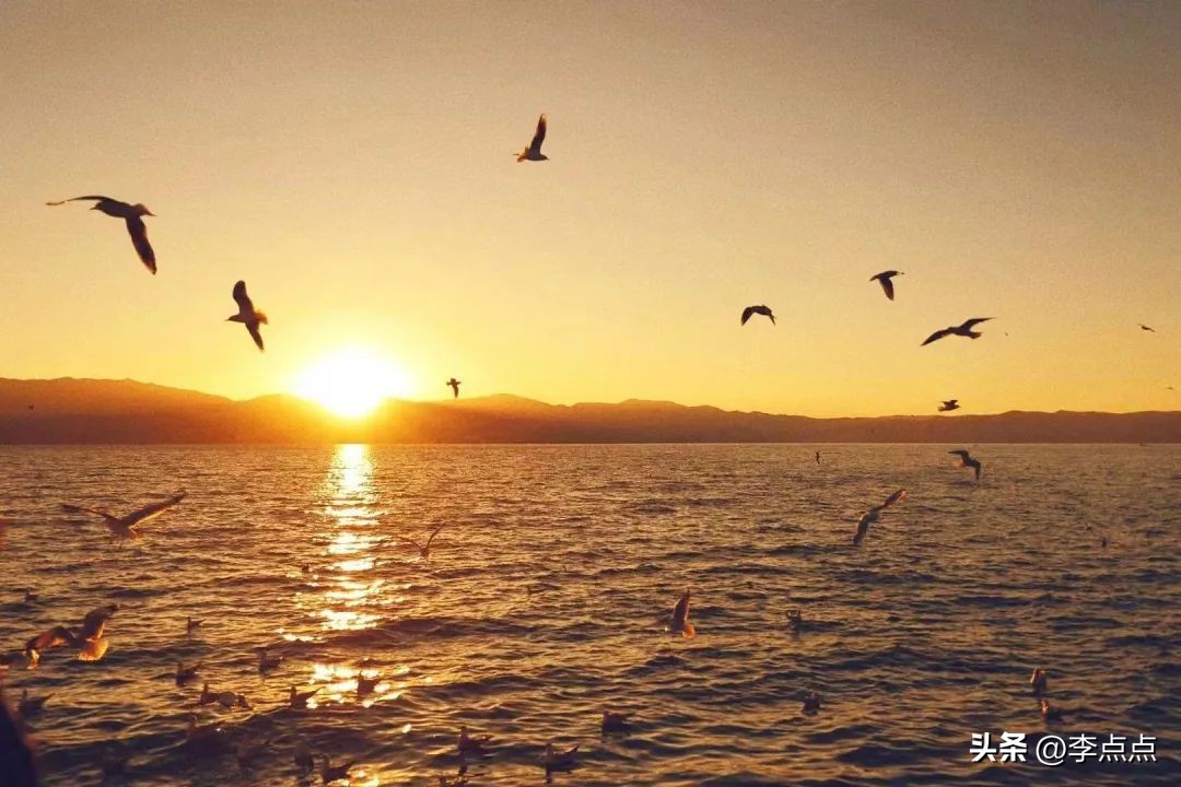 云南旅游疫情最新政策,云南旅游团疫情最新消息