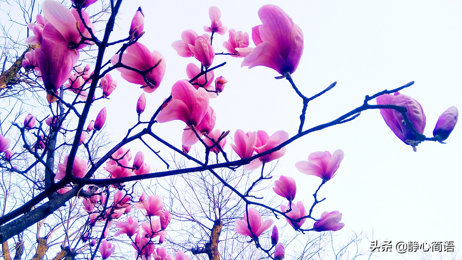 处在逆境如何保持心态,做人低调做事要注意什么