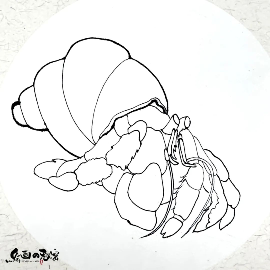 寄居蟹沙子要湿的还是干的,寄居蟹怎么养