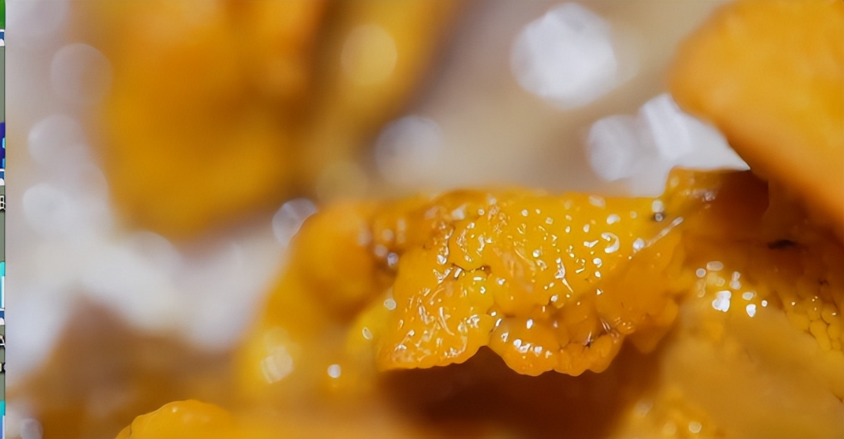 仅有积蓄23块钱，山东小伙大胆借600万，捞出大连海底“小黄金”