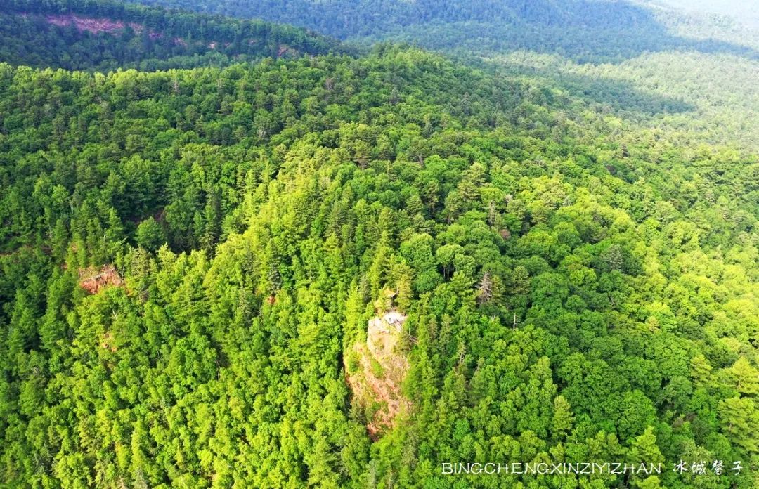 火山口国家森林公园与地下森林,清凉度夏探秘地下森林