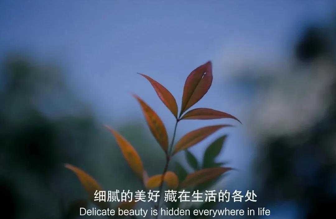 北京大学属于一本吗,北京大学是普通高校吗