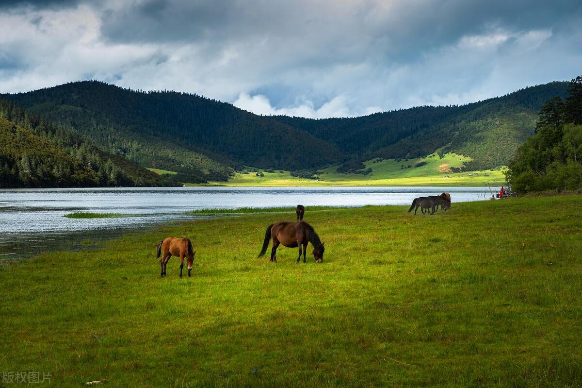 香格里拉最值得去的景点排名,香格里拉旅游必去的十大景点