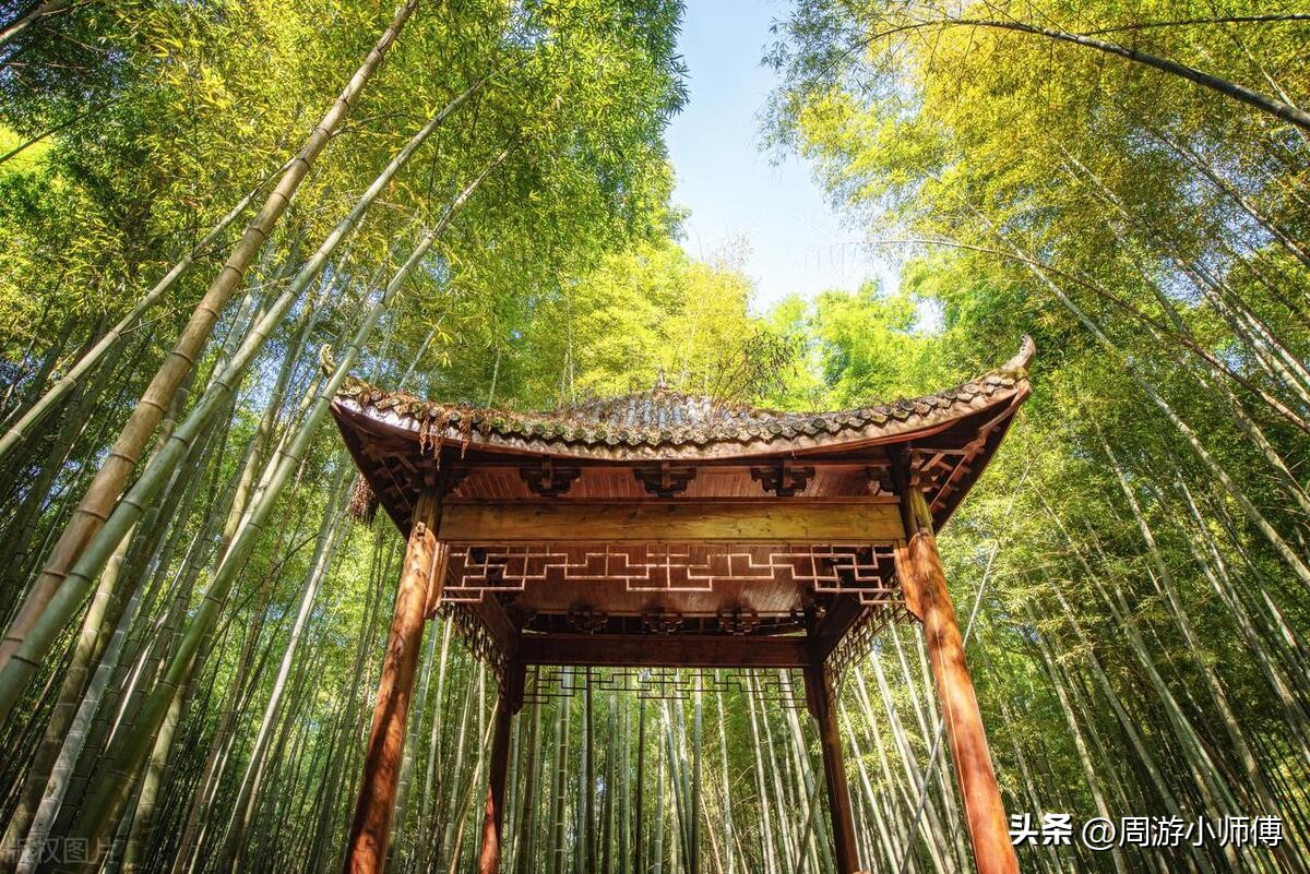 重庆自驾游攻略详细安排路线,重庆自驾旅游攻略路线详细