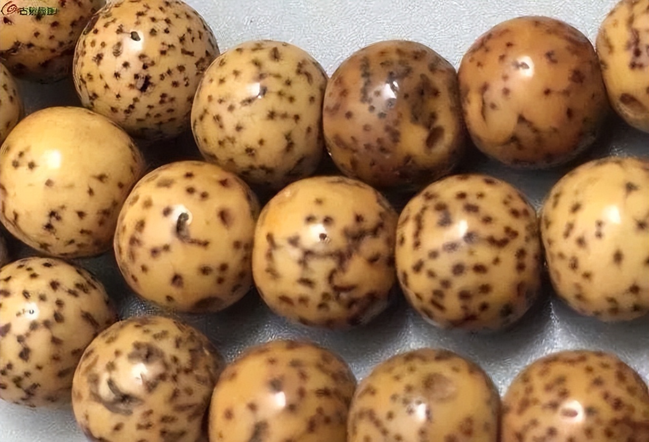 星月菩提奶油黄是什么,星月菩提如何盘玩成白的