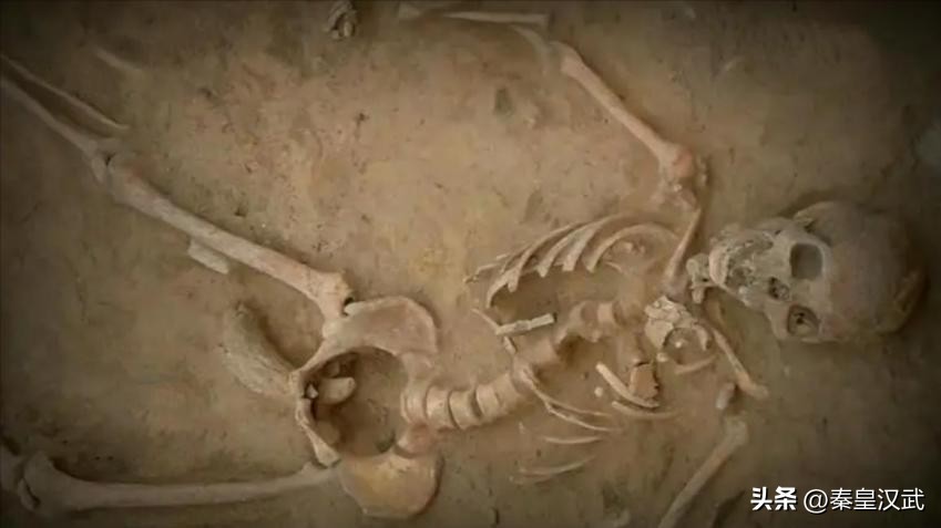 陶寺遗址跟良渚什么关系,浙江有几处史前遗址