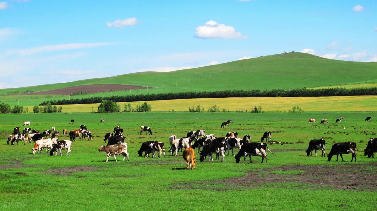 呼伦贝尔大草原高清素材,分享内蒙古草原天空照