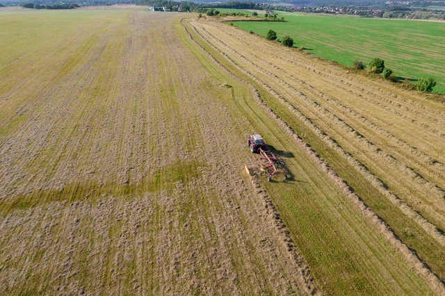 写一篇自己的家庭作文,关于自己的家庭的文章