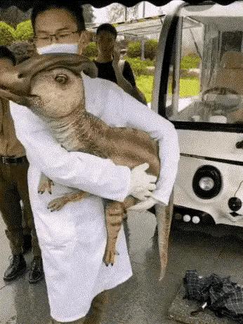 老婆不知去哪买的这衣服，刚进家门就给我吓了一身汗，好尴尬