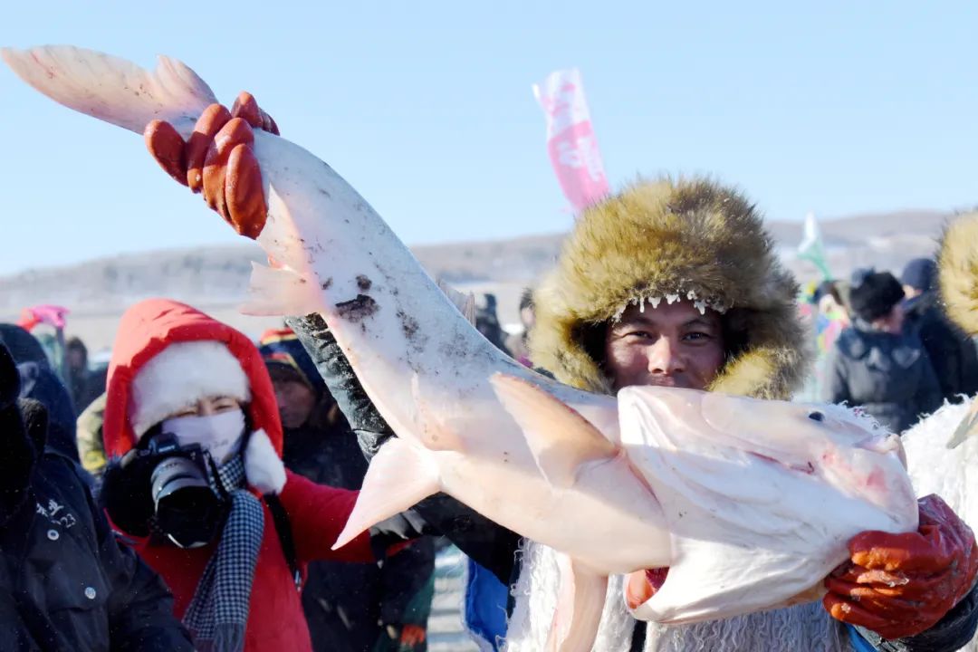 美食篇之兴凯湖大白鱼,舌尖上的湖鲜鱼