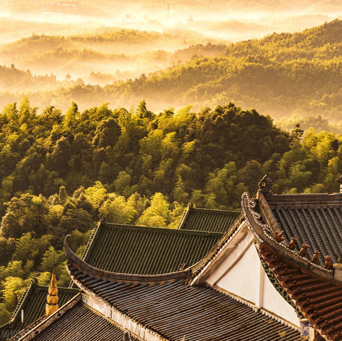 江南行作者张德富