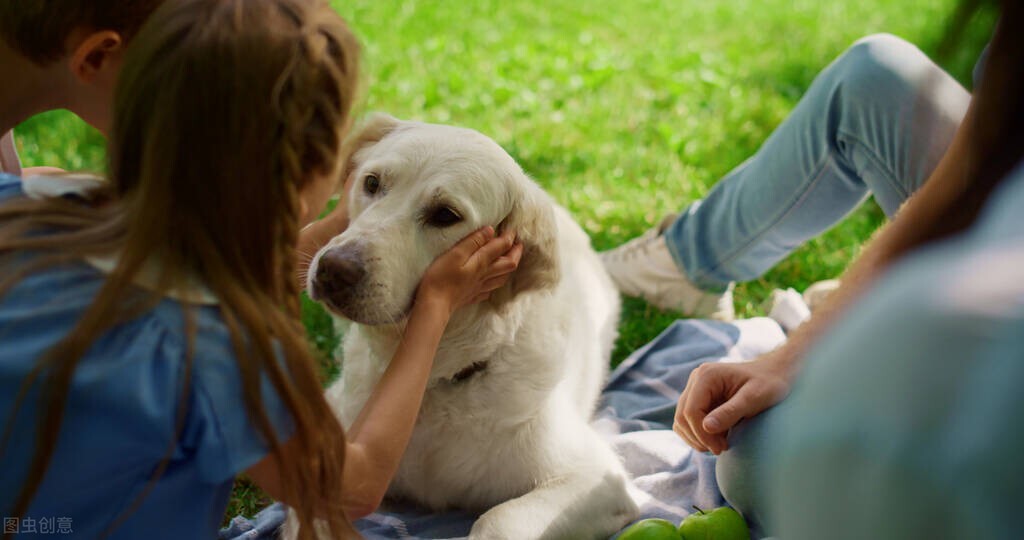 狗狗知道死了会去外面吗,狗狗会知道自己死吗