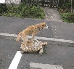 为什么不建议学音乐治疗,千万不要学音乐的坏处